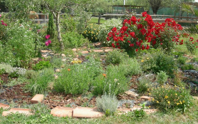 Farmhouse Ameglia, green relax spaces